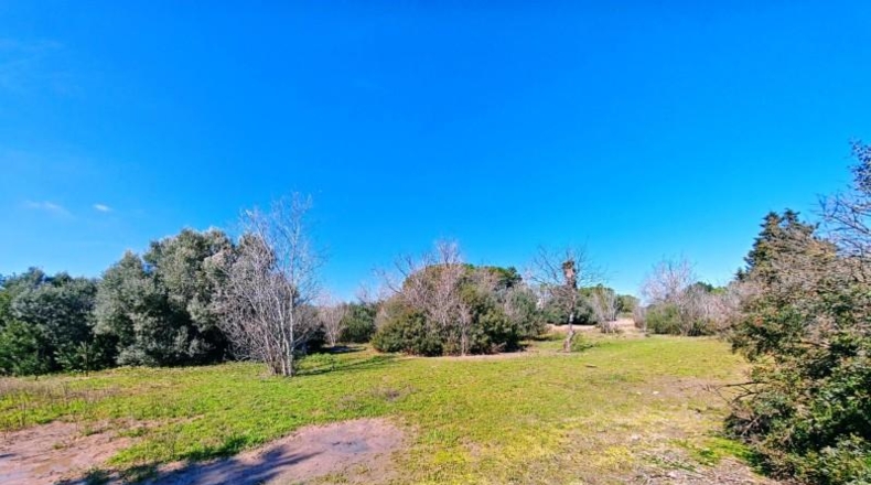 Cádiz - Medina Sidonia - 6300m2
