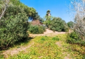 Chalet independiente con terreno en venta en la España, Medina Sidonia, ref: TR389214 foto