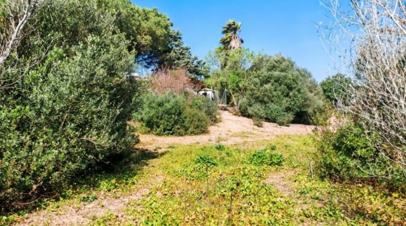 Cádiz - Medina Sidonia - 6300m2