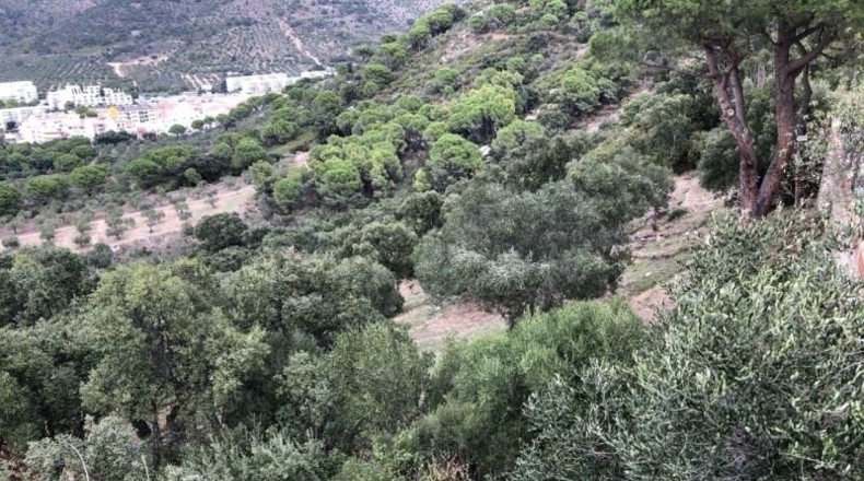 Gerona - Roses - 520m2