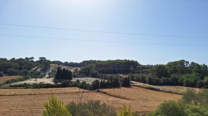 Balearic Islands - Muro - 20000m2