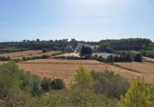 Parcel·la urbanitzable en venda a la España, Muro, ref.: TR130315 foto