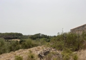 Parcel·la urbanitzable en venda a la España, Muro, ref.: TR130315 foto
