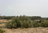 Parcel·la urbanitzable en venda a la España, Muro, ref.: TR130315 foto