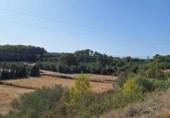 Parcel·la urbanitzable en venda a la España, Muro, ref.: TR130315 foto
