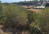 Parcel·la urbanitzable en venda a la España, Muro, ref.: TR130315 foto