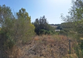 Parcel·la urbanitzable en venda a la España, Muro, ref.: TR130315 foto