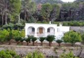Country house with land for sale on España, Pego, ref: TR417069 photo