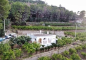 Country house with land for sale on España, Pego, ref: TR417069 photo