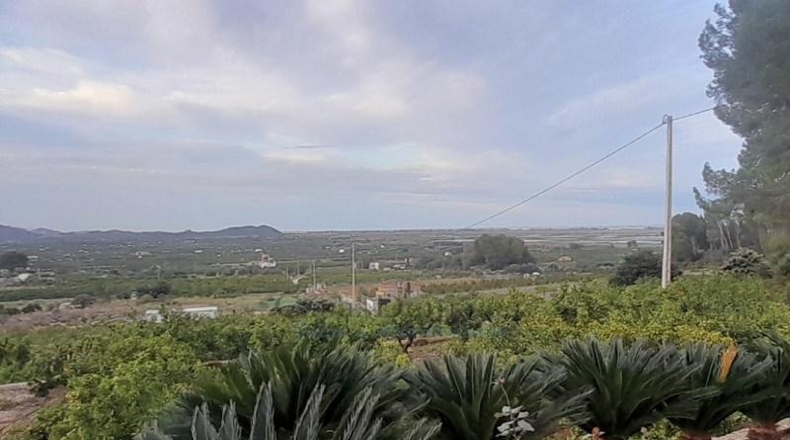 Alicante - Pego - 4637m2