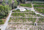 Country house with land for sale on España, Pego, ref: TR417069 photo