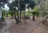 Country house with land for sale on España, Pego, ref: TR417069 photo