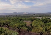 Country house with land for sale on España, Pego, ref: TR417069 photo