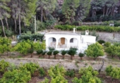 Country house with land for sale on España, Pego, ref: TR417069 photo
