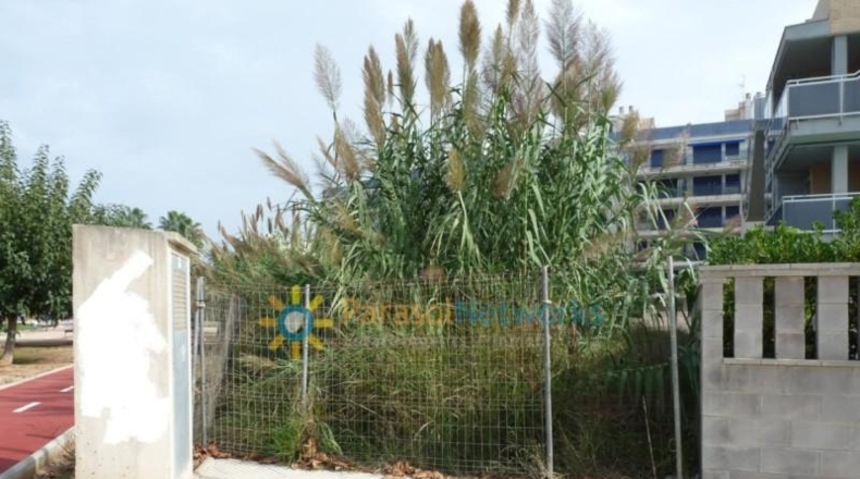 València - Guardamar de la Safor - 698m2