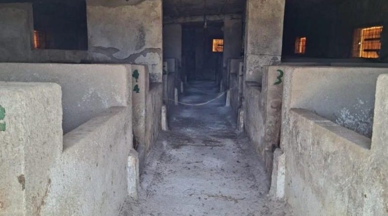 Tarragona - l'Aldea - 1000m2