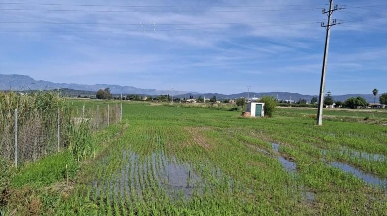 Tarragona - l'Aldea - 1000m2
