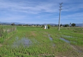 Casa de camp amb terreny en venda a la España, l'Aldea, ref.: TR417079 foto