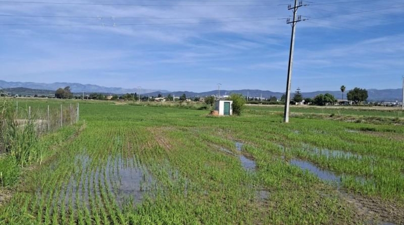 Tarragona - l'Aldea - 1000m2
