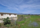 Casa de camp amb terreny en venda a la España, l'Aldea, ref.: TR417079 foto