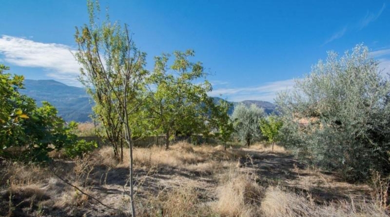 Гранада - Güéjar Sierra - 1500m2