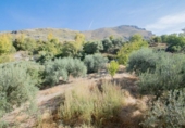 Chalet independiente con terreno en venta en la España, Güéjar Sierra, ref: TR403999 foto