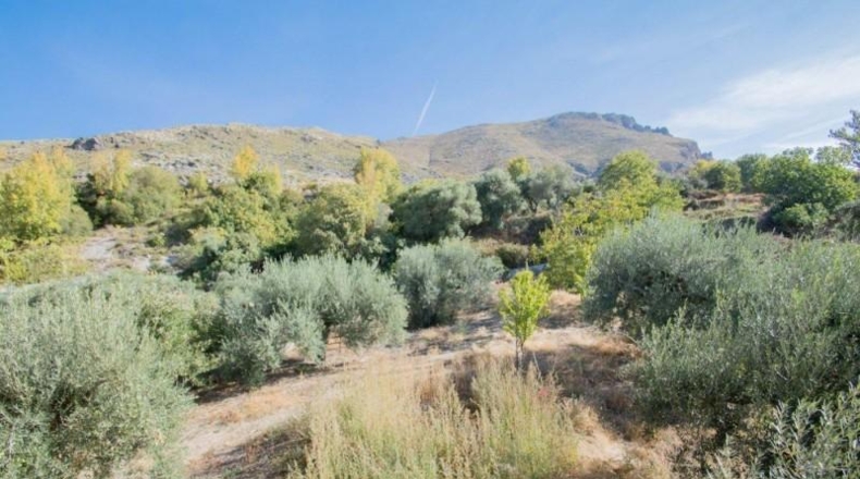 Гранада - Güéjar Sierra - 1500m2