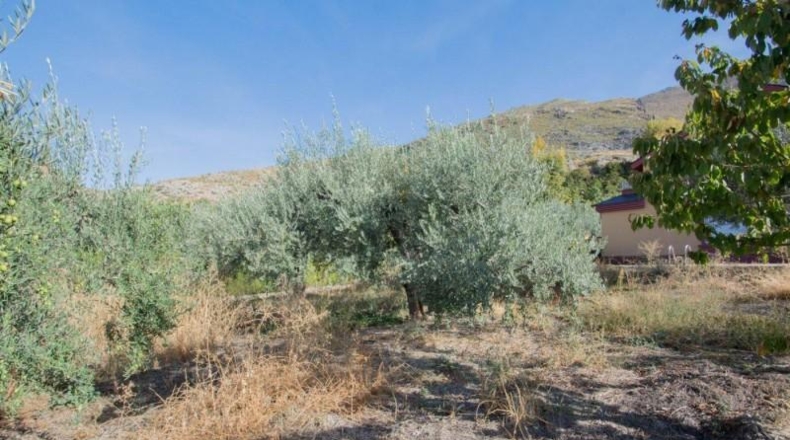Гранада - Güéjar Sierra - 1500m2