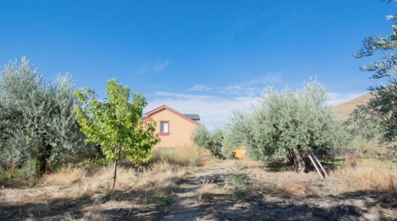 Гранада - Güéjar Sierra - 1500m2