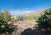 Chalet independiente con terreno en venta en la España, Güéjar Sierra, ref: TR403999 foto