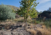 Chalet independiente con terreno en venta en la España, Güéjar Sierra, ref: TR403999 foto