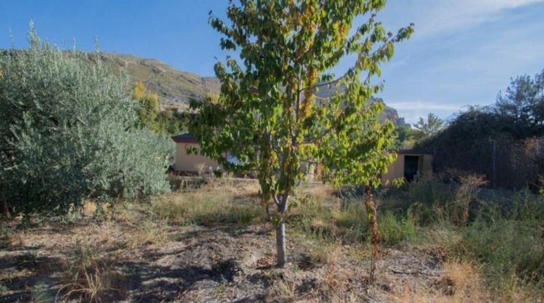 Гранада - Güéjar Sierra - 1500m2