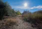 Chalet independiente con terreno en venta en la España, Güéjar Sierra, ref: TR403999 foto