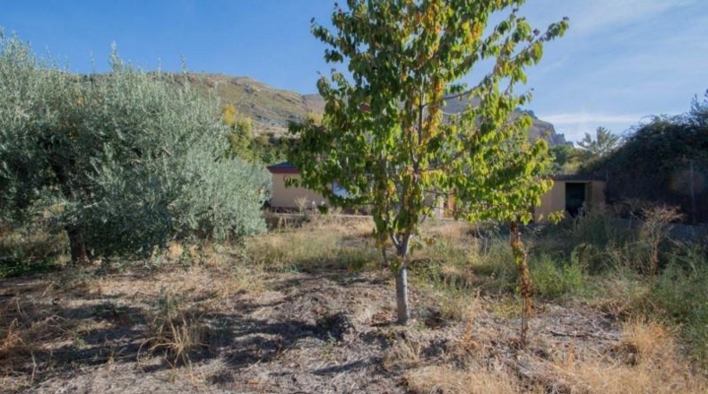 Гранада - Güéjar Sierra - 1500m2