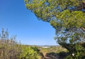 Non-developable land for sale on España, Pedreguer, ref: TR367663 photo