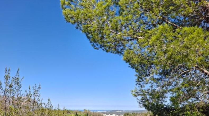 Alicante - Педрегер - 220000m2