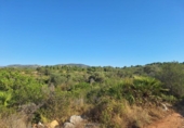 Non-developable land for sale on España, Pedreguer, ref: TR367663 photo