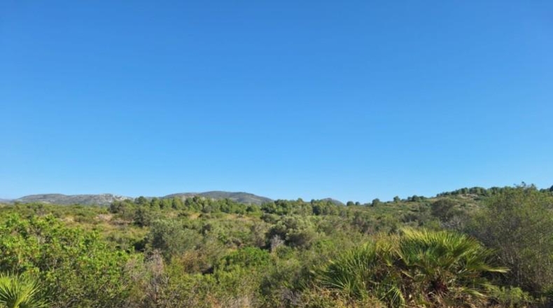 Alicante - Педрегер - 220000m2