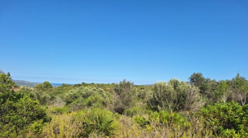 Alicante - Педрегер - 220000m2