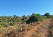 Non-developable land for sale on España, Pedreguer, ref: TR367663 photo