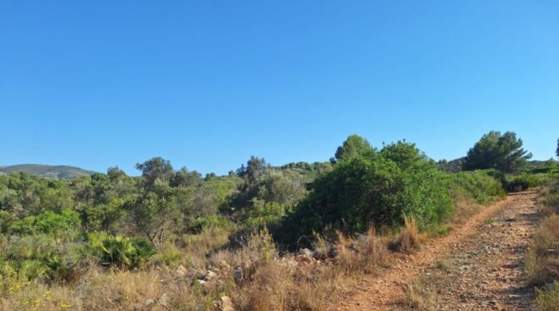 Alicante - Педрегер - 220000m2