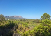 Non-developable land for sale on España, Pedreguer, ref: TR367663 photo