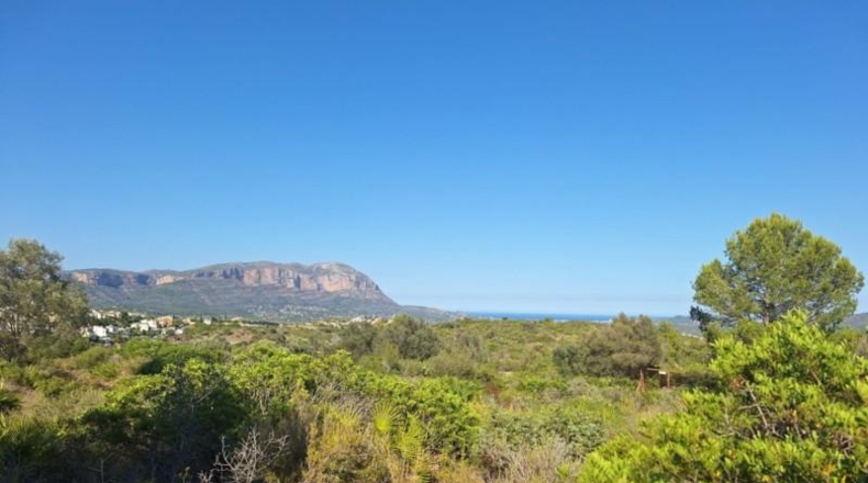 Alicante - Педрегер - 220000m2