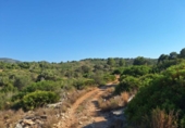 Non-developable land for sale on España, Pedreguer, ref: TR367663 photo