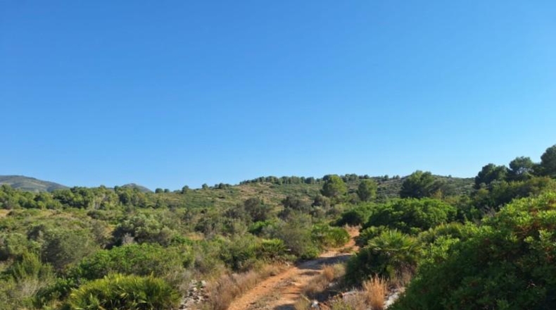 Alicante - Педрегер - 220000m2
