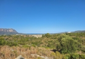 Non-developable land for sale on España, Pedreguer, ref: TR367663 photo