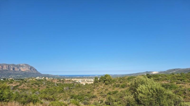 Alicante - Педрегер - 220000m2