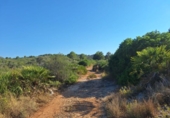Non-developable land for sale on España, Pedreguer, ref: TR367663 photo
