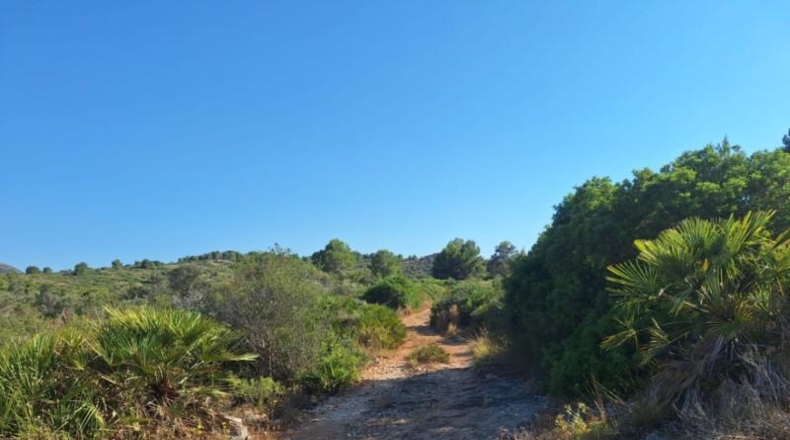 Alicante - Педрегер - 220000m2