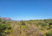 Non-developable land for sale on España, Pedreguer, ref: TR367663 photo